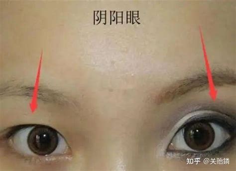 女人眼睛面相|面相看眼睛教学：决定人生运势的眼型 （下篇）